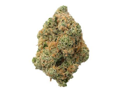 Lemon Skunk 1 819x1024