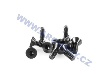 Hoyt Inner Cam Screws (Typ 6/32'')