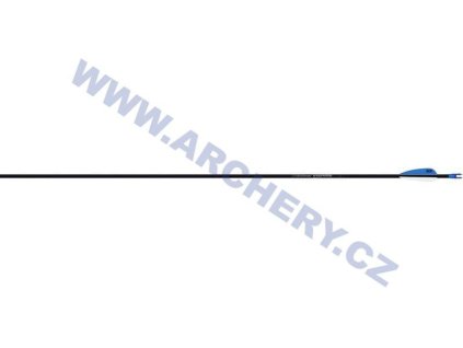 Šíp Easton Inspire osazený hrotem i končíkem šípu (Tvrdost 2000)