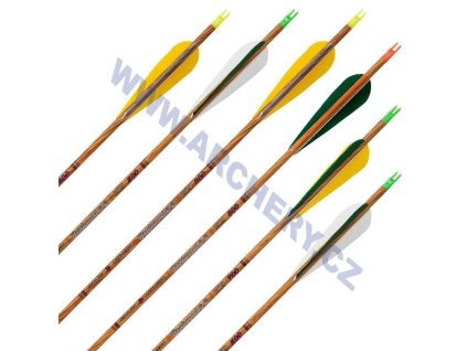 Šíp Carbon Skylon Bentwood s krocaním peřím  12 ks (Tvrdost 500)