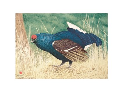 Terč 2D JVD tetřev