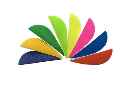 100Pcs 2 Archery Fletches Feather 2inch Parabolic Natural Turkey Feathers Arrow Fletching For Hunting shooting