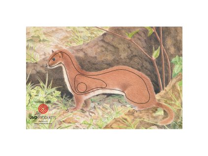 Terč 2D JVD hranostaj