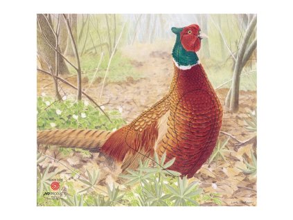 Terč 2D JVD bažant