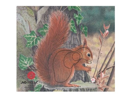 Terč 2D JVD veverka