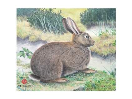 Terč 2D JVD králik