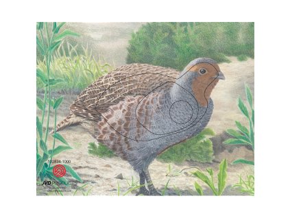 Terč 2D JVD křepelka