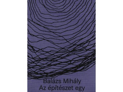 borito 20251205144730