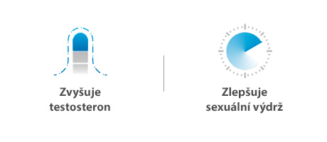 Zvyšuje testosteron a sexuální výdrž