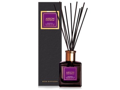 {C5FA66A9 1DD1 4630 AFA4 C480BBB8410B} V