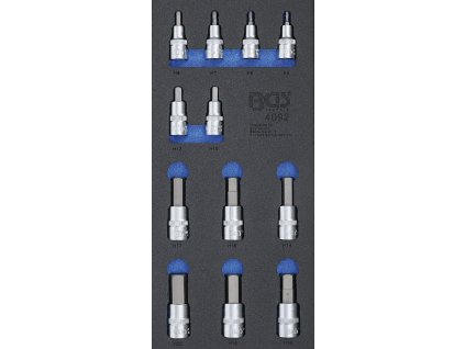 Zásobník nářadí 1/3: Sada bitů | vnitřní šestihran | 12,5 mm (1/2") | 12 ks.