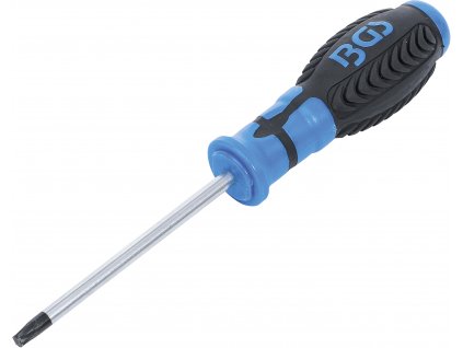 46587 bgs 4922 sroubovak t profil pro torx t30 delka cepele 100 mm