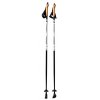 Hole pro nordic walking BEST SPORTING Carbon délka 120 cm