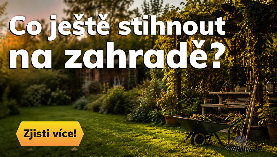 ZAHRADA PŘED ZIMOU