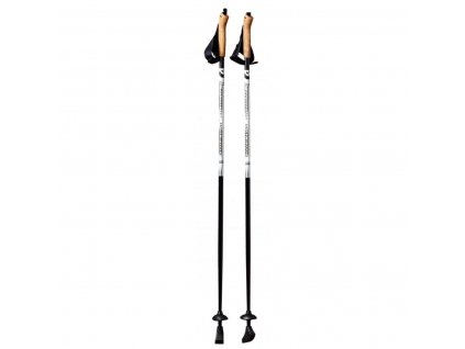 Hole pro nordic walking BEST SPORTING Carbon délka 120 cm