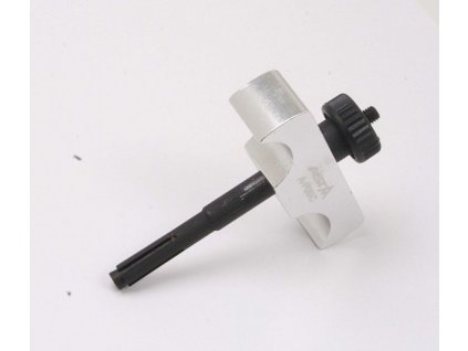 A P06IC 1