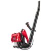 RTODL0059, Benzínový batohový foukač na listí a sníh 3,8 hp