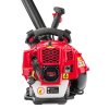 RTODL0059, Benzínový batohový foukač na listí a sníh 3,8 hp