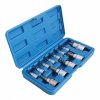 12pcs 5 point without tamper star bit socket set