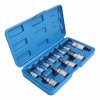 12pcs 5 point tamper proof star bit socket set