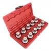 10pcs tesla wheel bolt lock socket set