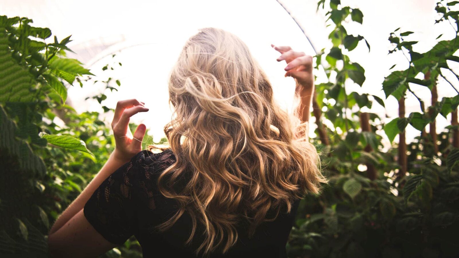 Arganový olej - Účinky