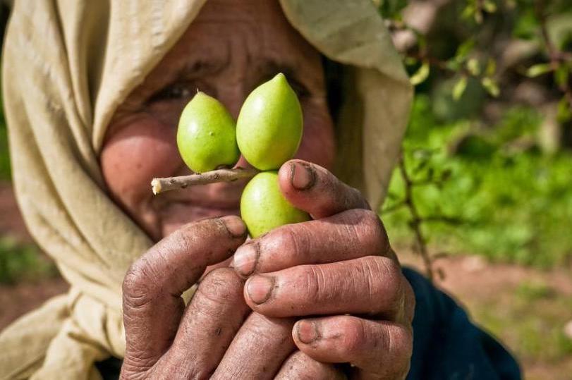 Jak poznat správný arganový olej?