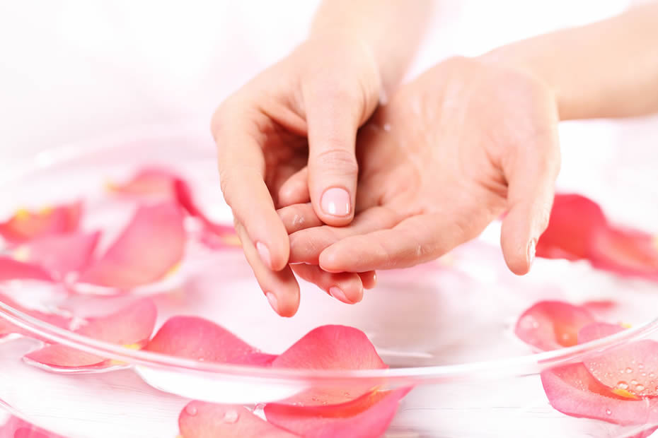 Růžová voda, její blahodárné účinky a použití