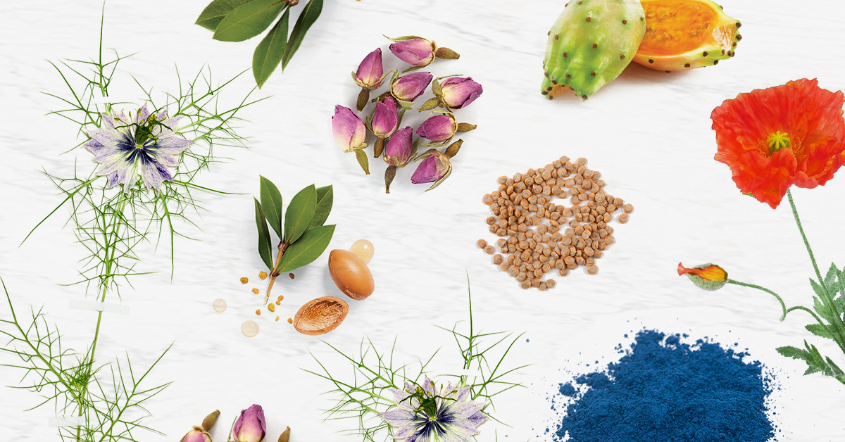 Article-2-Moroccan-ingredients-1