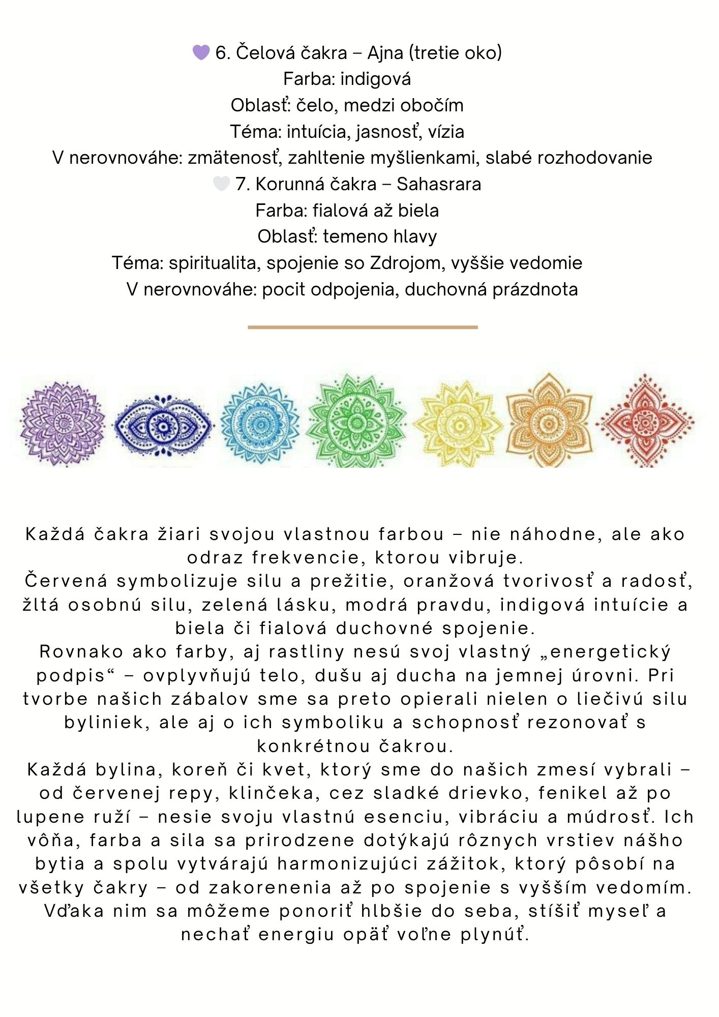 novinka(13)