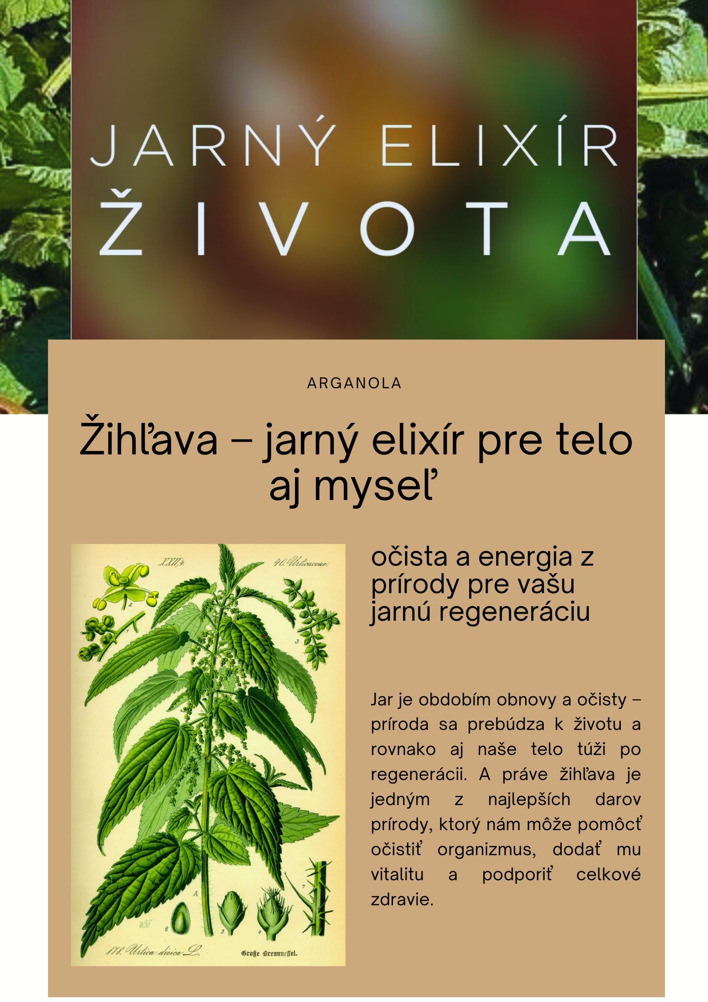 z1
