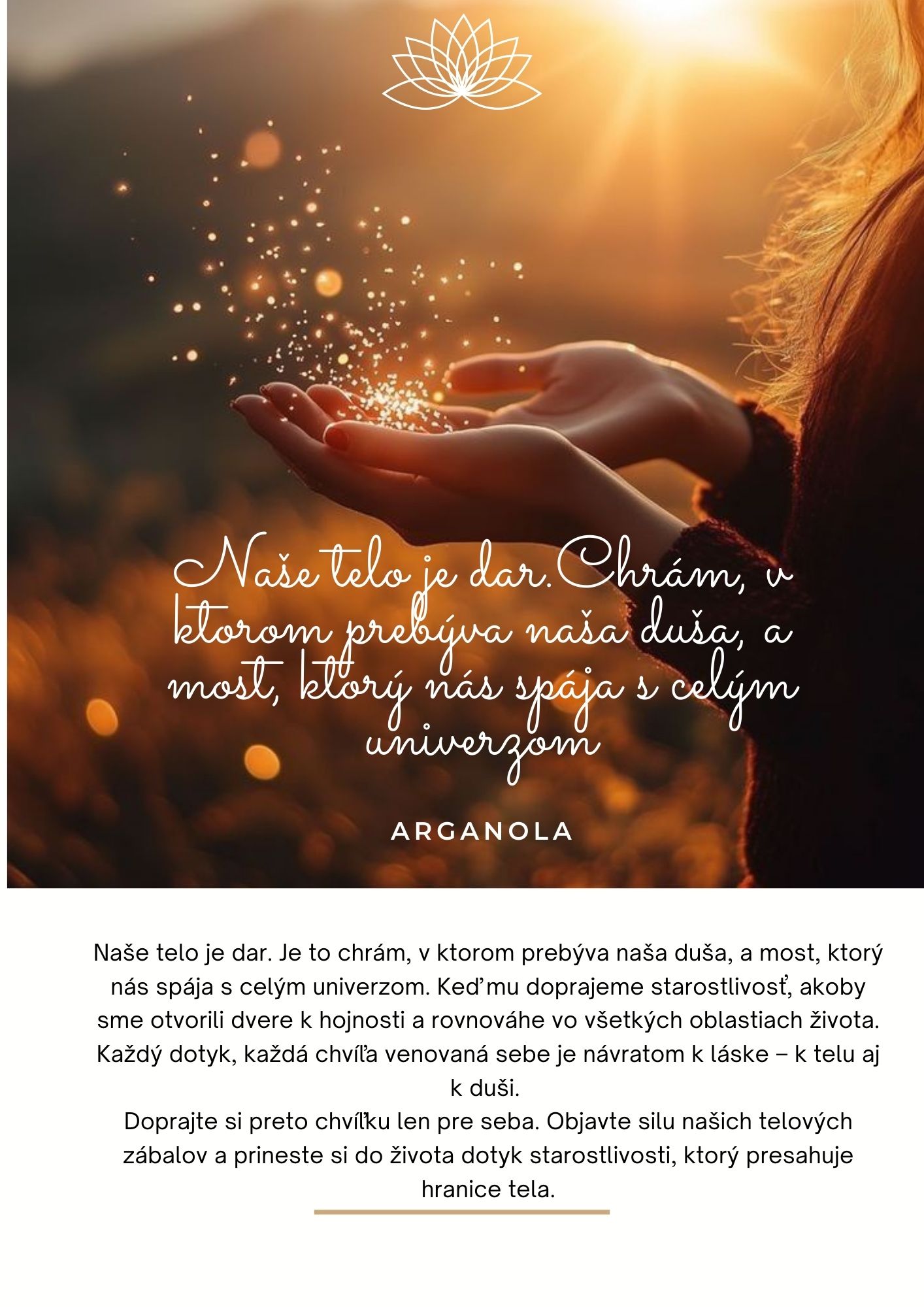 novinka(14)_1