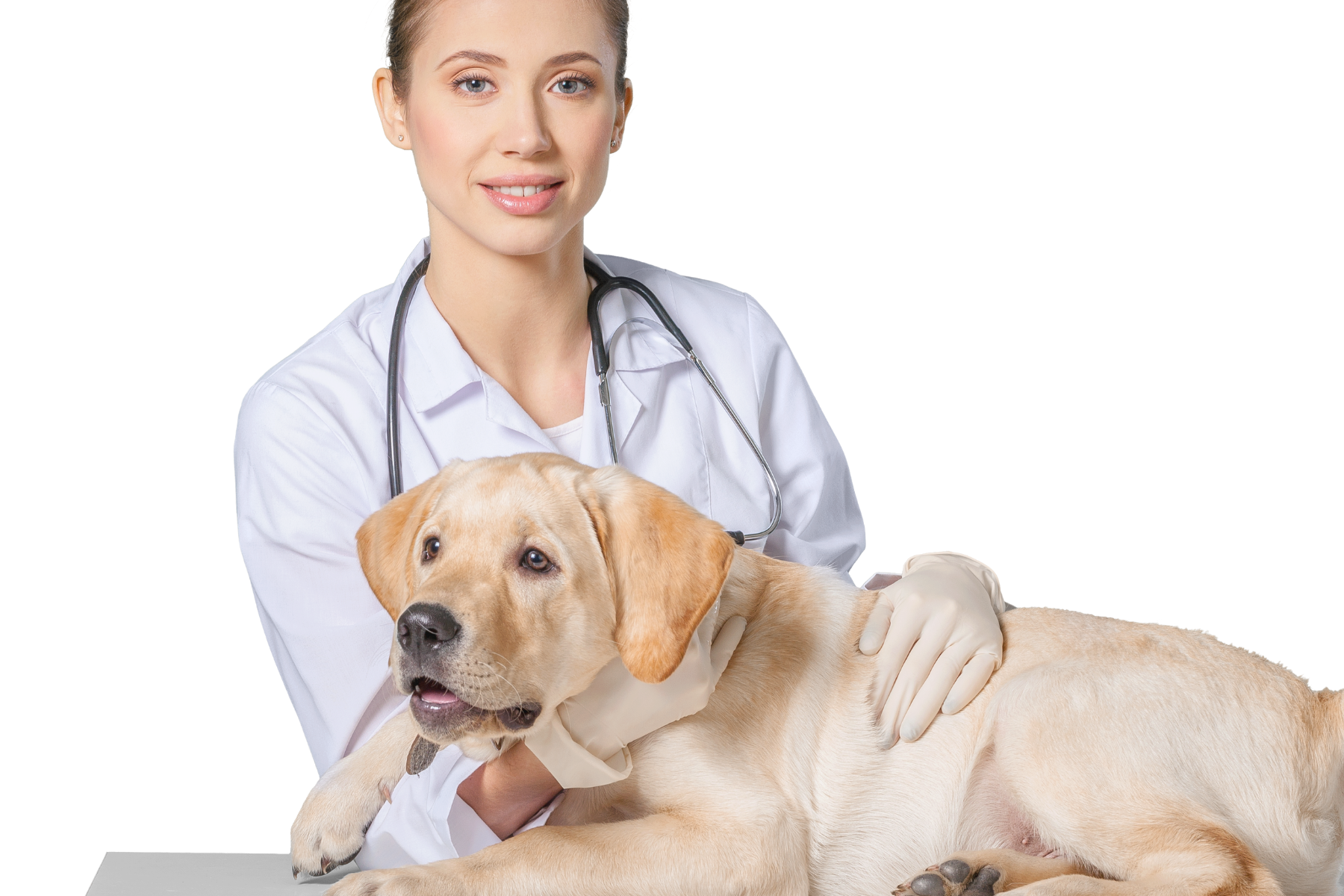 Veterinárna starostlivosť s obsahom striebra