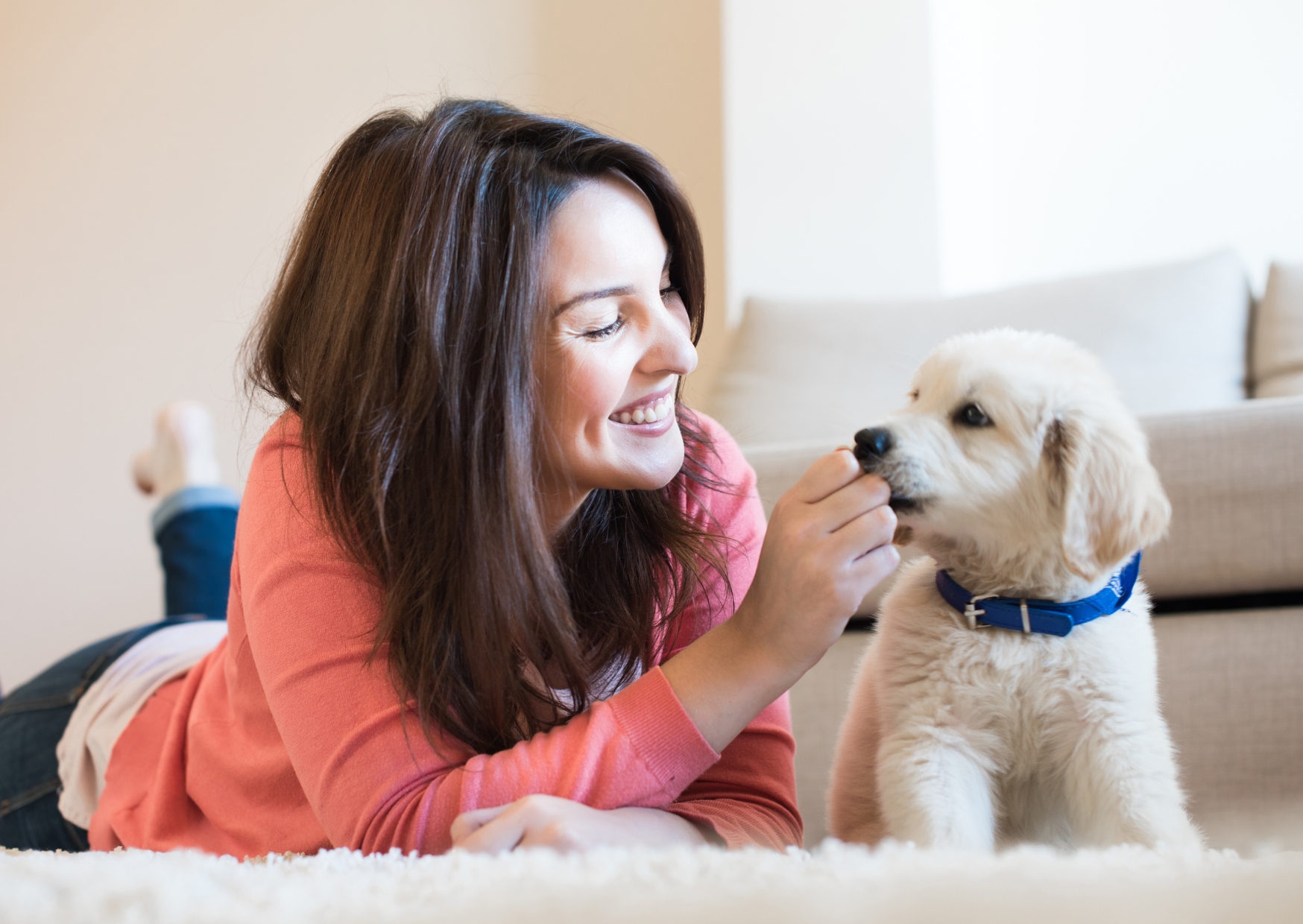 Vše, co potřebujete pro štěňátko: Průvodce pro nové majitele