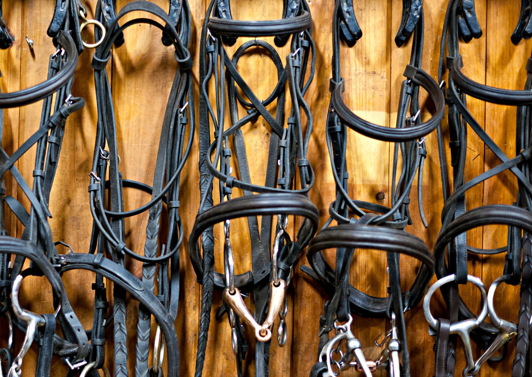 Vyberte uzdečku pro vašeho koně