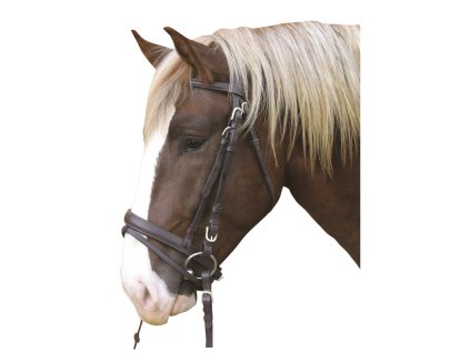 Uzdečka pro chladnokrevníky Covalliero (Barva Černá)