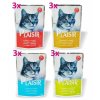 0013466 plaisir cat multipack kapsicky 100 g 12 ks