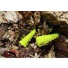Sumcový podvodní plovák U-Float Tree žlutý (Variant 5,5cm/5g)