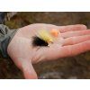 Sada umělých mušek Delphin FLY / 10ks (Velikost Pond trout)