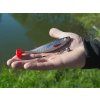 DuoPACK BOX Delphin Realix 3D / 6 x 2ks (Velikost 13cm / Roach)