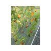 Zahradní skleník Gardentec STANDARD 2 x 2,5 m