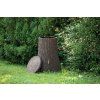 little tree umbra 250l