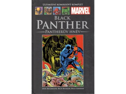 Black Panther: Pantherův hněv