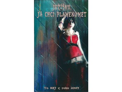 Ježíšku, já chci plamenomet 2009