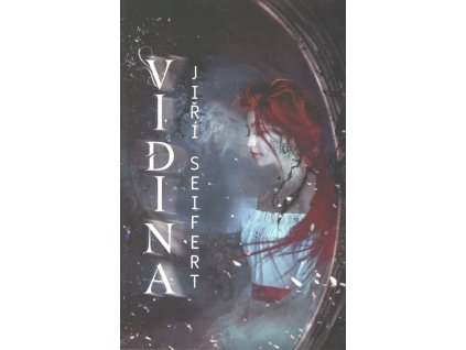 vidina6640