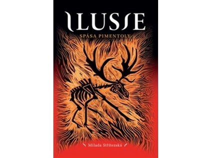 ilusie6
