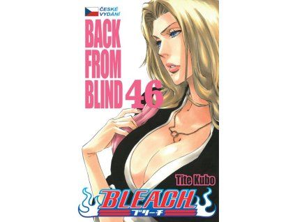 Bleach 46