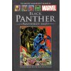 Black Panther: Pantherův hněv
