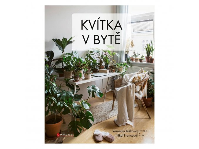 kvitka v bytě 1