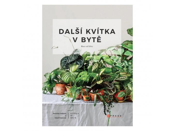 dalsi kvitka v bytě 1